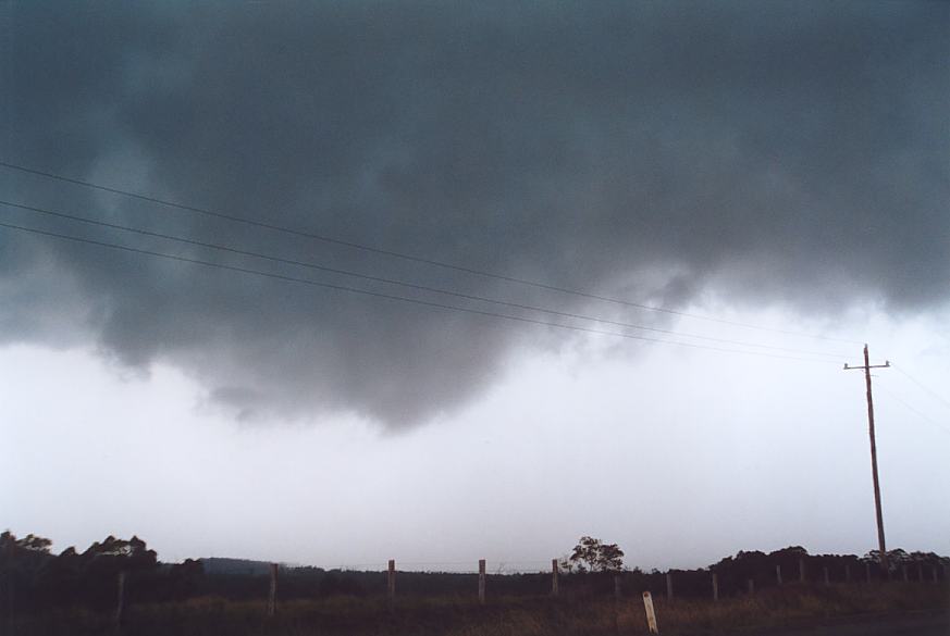 contributions received : Booral, NSW<BR>Photo by Geoff Thurtell   11 November 2001