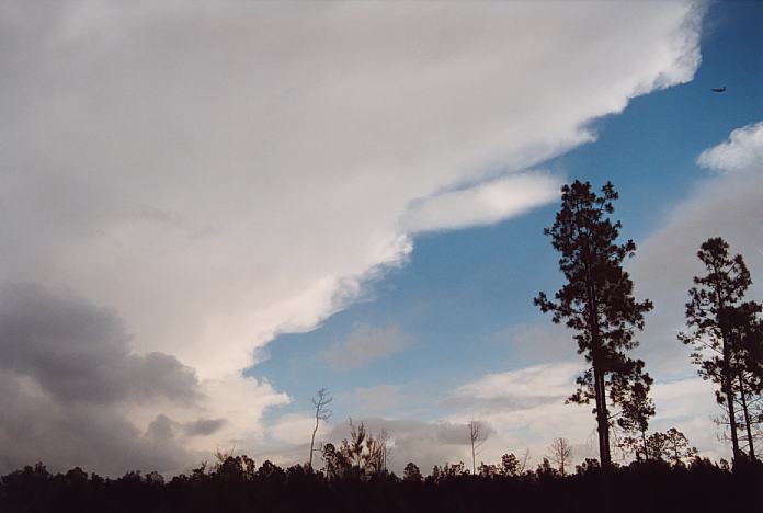 thunderstorm cumulonimbus_incus : Raymond Terrace, NSW   11 November 2001