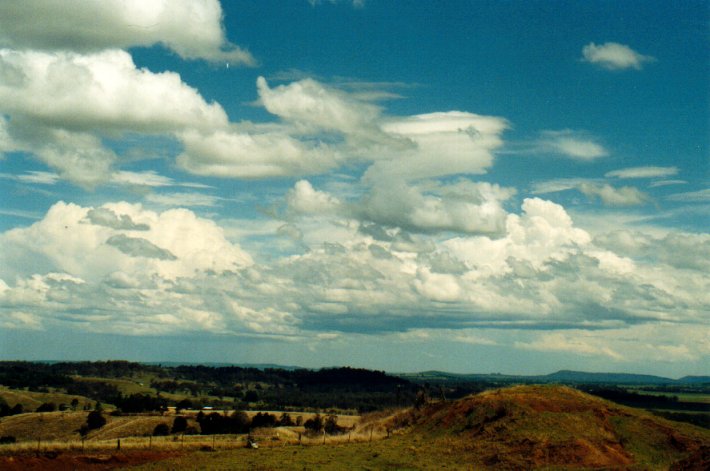 thunderstorm cumulonimbus_calvus : Parrots Nest, NSW   11 November 2001