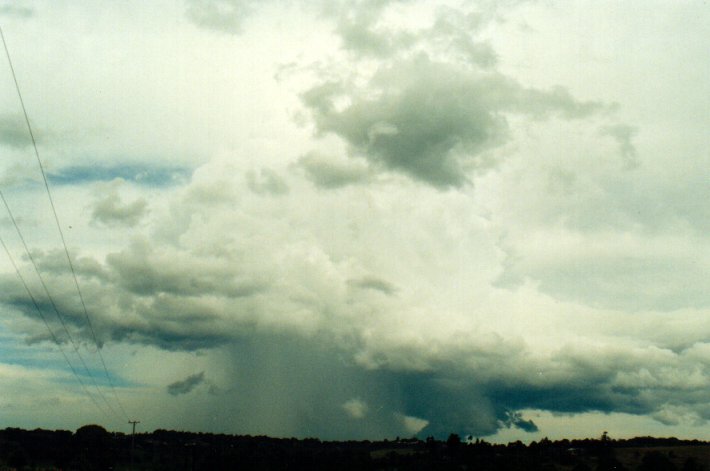 cumulus congestus : near Lismore, NSW   11 November 2001