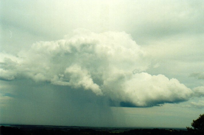 raincascade precipitation_cascade : Alstonville, NSW   11 November 2001