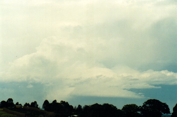 cumulonimbus supercell_thunderstorm : McLeans Ridges, NSW   11 November 2001