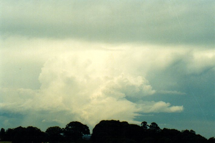 cumulonimbus supercell_thunderstorm : McLeans Ridges, NSW   11 November 2001