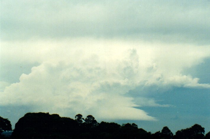 cumulonimbus supercell_thunderstorm : McLeans Ridges, NSW   11 November 2001