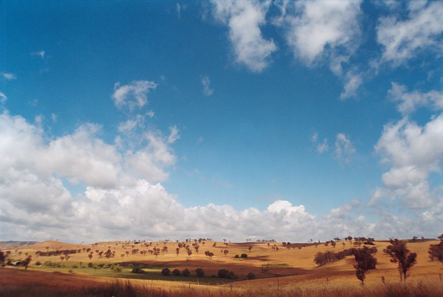 contributions received : near Ilford, NSW<BR>Photo by Geoff Thurtell   18 November 2001