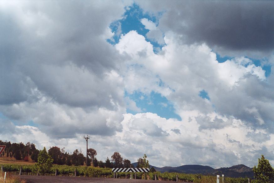 contributions received : near Mudgee, NSW<BR>Photo by Geoff Thurtell   18 November 2001