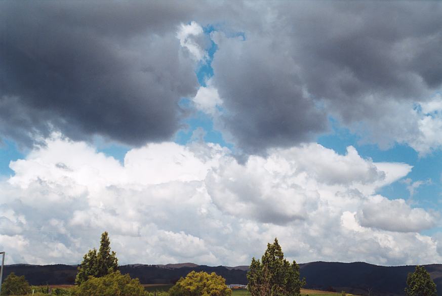contributions received : near Mudgee, NSW<BR>Photo by Geoff Thurtell   18 November 2001