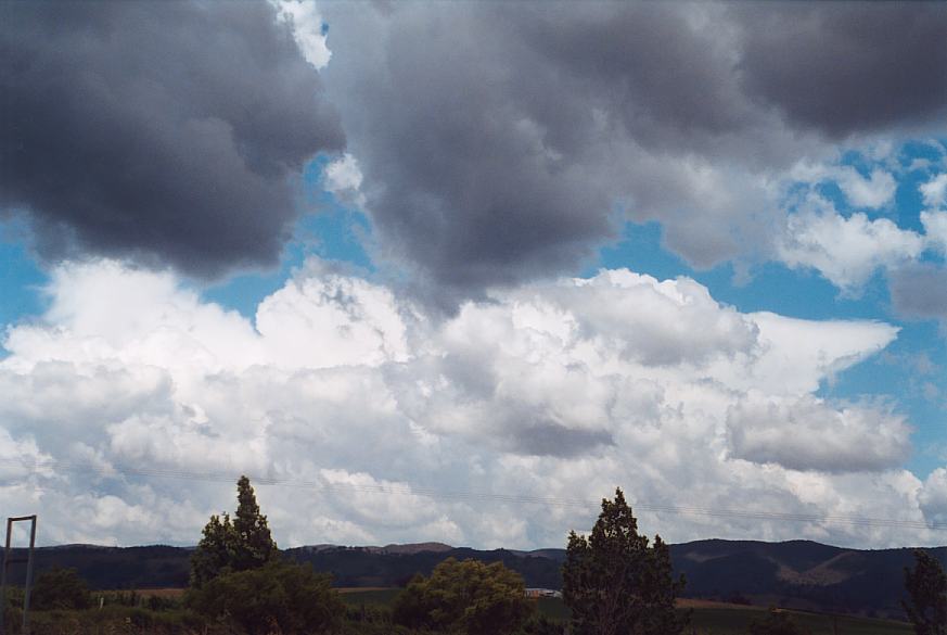 contributions received : near Mudgee, NSW<BR>Photo by Geoff Thurtell   18 November 2001