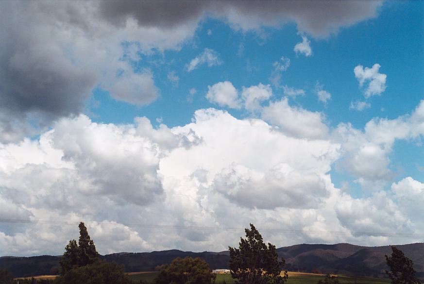 contributions received : near Mudgee, NSW<BR>Photo by Geoff Thurtell   18 November 2001