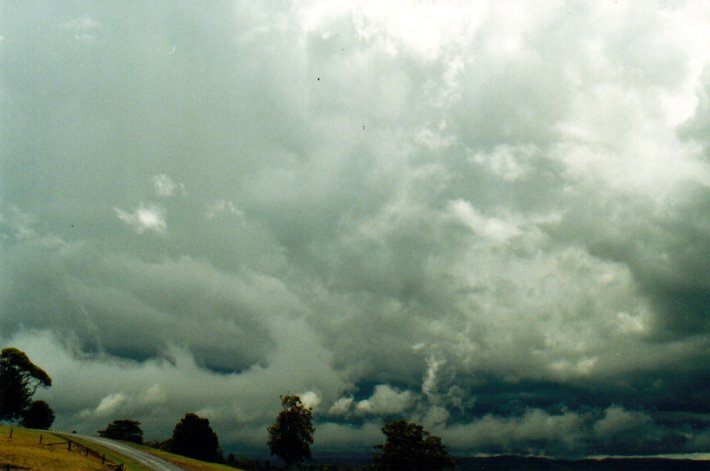 stratus stratus_cloud : McLeans Ridges, NSW   19 November 2001