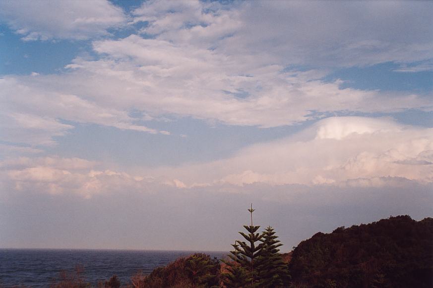 contributions received : Hallidays Beach, NSW<BR>Photo by Geoff Thurtell   24 November 2001