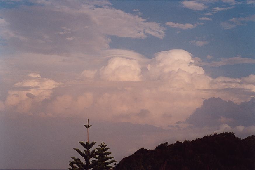 contributions received : Hallidays Beach, NSW<BR>Photo by Geoff Thurtell   24 November 2001