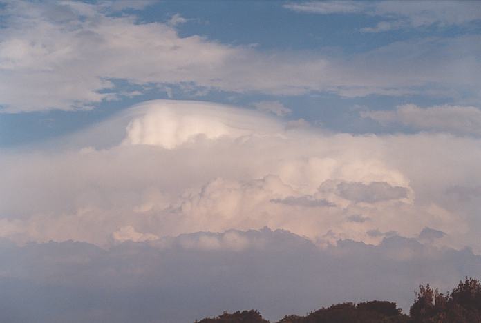 pileus pileus_cap_cloud : Hallidays Point, NSW   24 November 2001