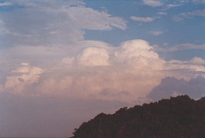 pileus pileus_cap_cloud : Hallidays Point, NSW   24 November 2001