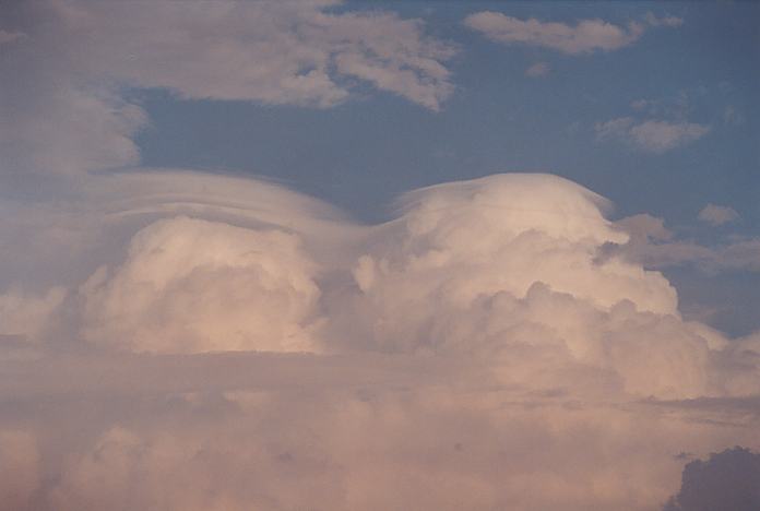 pileus pileus_cap_cloud : Hallidays Point, NSW   24 November 2001