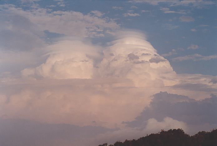 cumulonimbus supercell_thunderstorm : Hallidays Point, NSW   24 November 2001