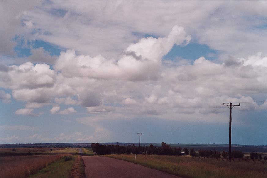 contributions received : North Star, NSW<BR>Photo by Geoff Thurtell   27 November 2001