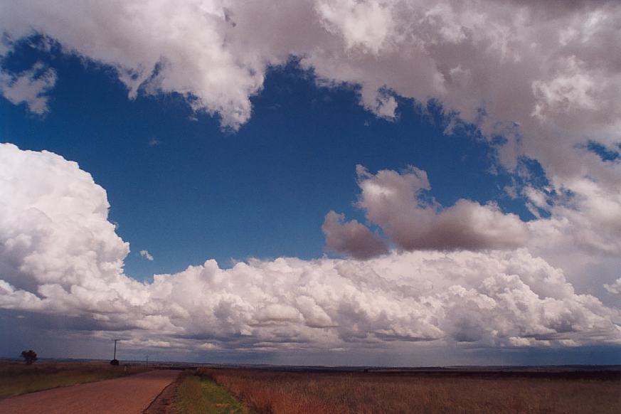 contributions received : North Star, NSW<BR>Photo by Geoff Thurtell   27 November 2001