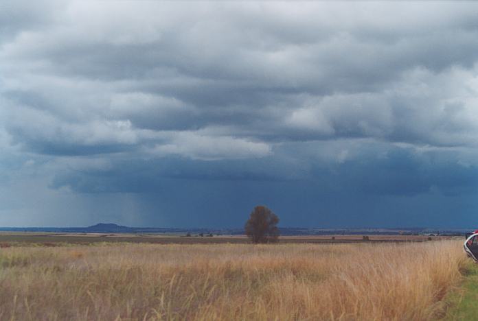 cumulonimbus thunderstorm_base : Boggabilla Road N of Warialda, NSW   27 November 2001