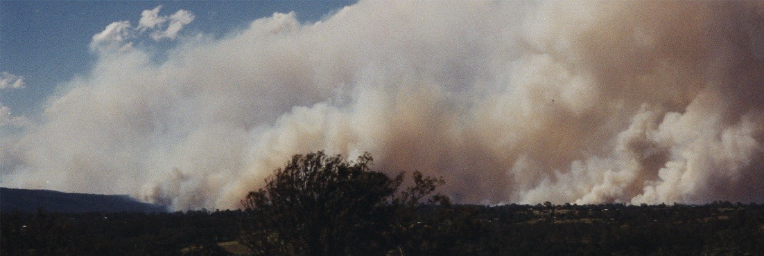 contributions received : western Sydney, NSW<BR>Photo by Brett Vilnis   1 December 2001