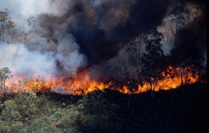 contributions received : western Sydney, NSW<BR>Photo by Brett Vilnis   1 December 2001