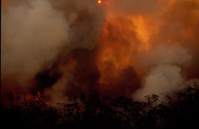 contributions received : western Sydney, NSW<BR>Photo by Brett Vilnis   1 December 2001