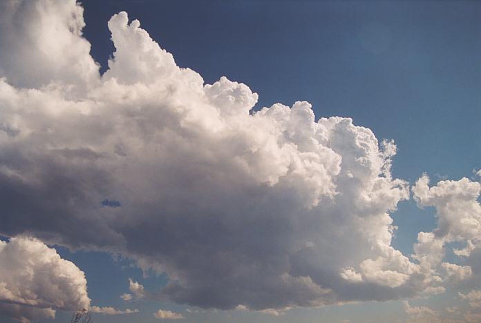 thunderstorm cumulonimbus_calvus : Corindi Beach, NSW   1 December 2001