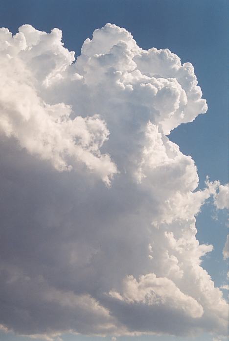 thunderstorm cumulonimbus_calvus : Corindi Beach, NSW   1 December 2001