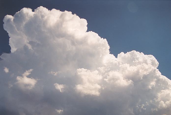 thunderstorm cumulonimbus_calvus : Corindi Beach, NSW   1 December 2001