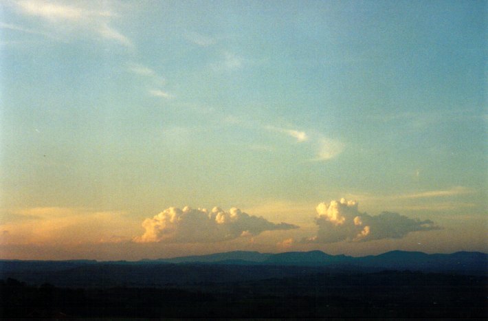 cumulus mediocris : McLeans Ridges, NSW   1 December 2001