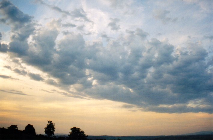 altocumulus castellanus : McLeans Ridges, NSW   2 December 2001