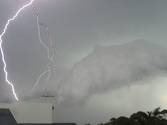 contributions received : Coogee, NSW<BR>Photo by Andrea Dunne   3 December 2001