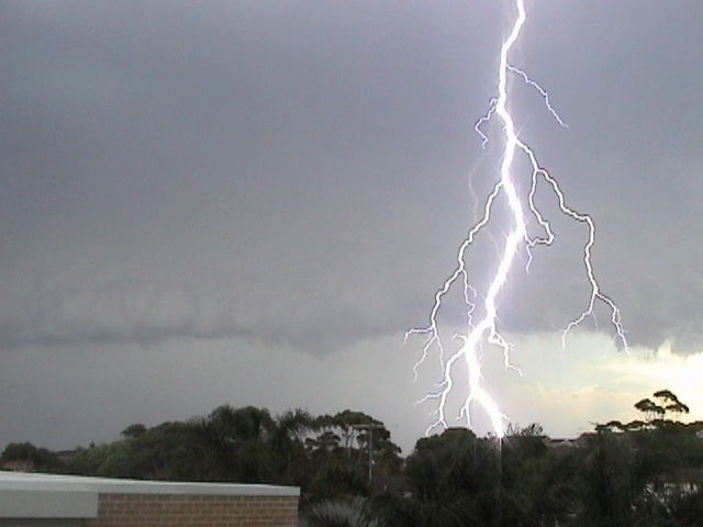 contributions received : Coogee, NSW<BR>Photo by Andrea Dunne   3 December 2001