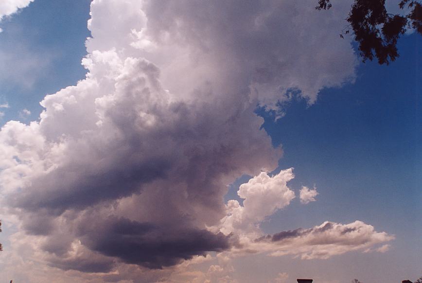 contributions received : Urunga, NSW<BR>Photo by Geoff Thurtell   4 December 2001