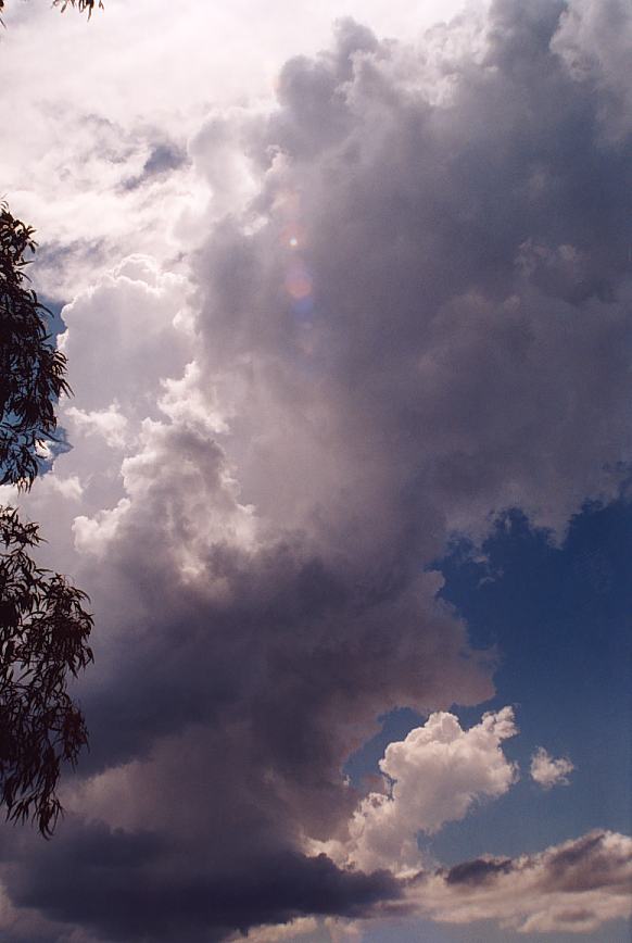 contributions received : Urunga, NSW<BR>Photo by Geoff Thurtell   4 December 2001