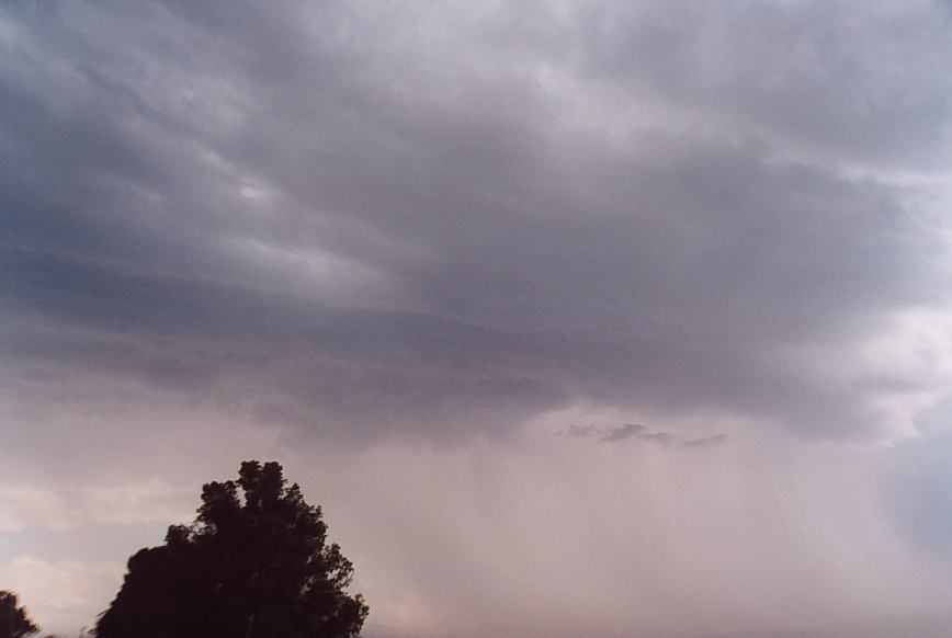 contributions received : near Warrell Creek, NSW<BR>Photo by Geoff Thurtell   4 December 2001