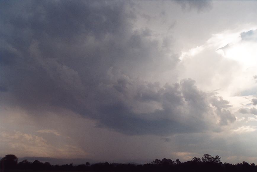 contributions received : near Warrell Creek, NSW<BR>Photo by Geoff Thurtell   4 December 2001