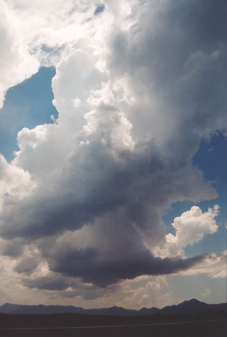 thunderstorm cumulonimbus_calvus : near Urunga, NSW   4 December 2001