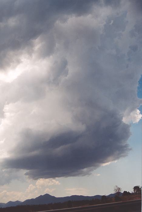 cumulonimbus thunderstorm_base : near Urunga, NSW   4 December 2001