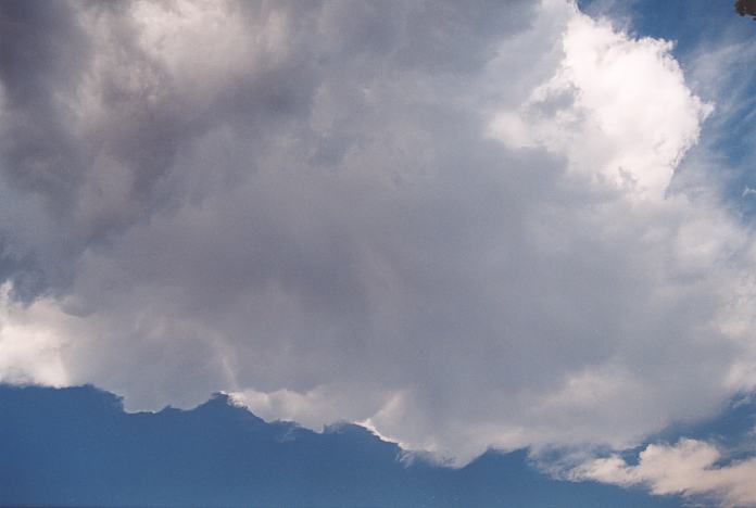 cumulonimbus thunderstorm_base : near Urunga, NSW   4 December 2001