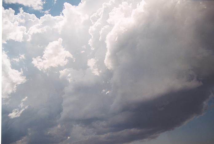 cumulonimbus thunderstorm_base : near Urunga, NSW   4 December 2001