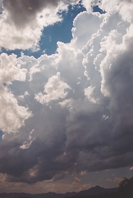 cumulonimbus thunderstorm_base : near Urunga, NSW   4 December 2001