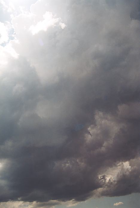 cumulonimbus thunderstorm_base : near Urunga, NSW   4 December 2001