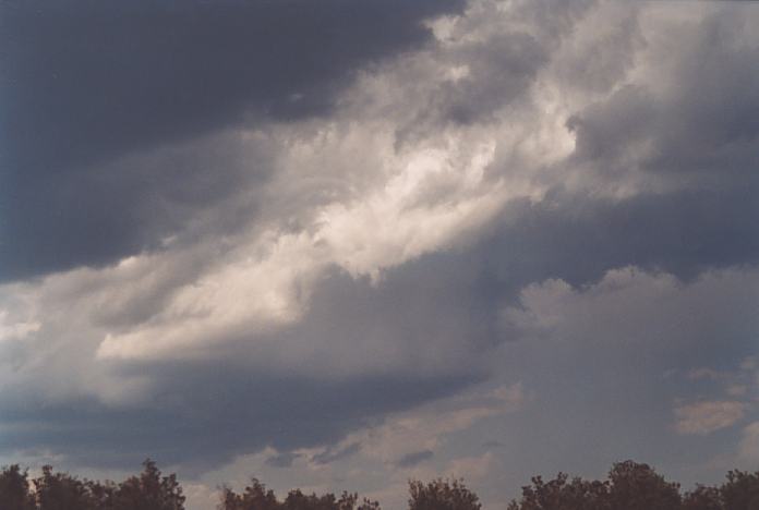 cumulonimbus thunderstorm_base : North Beach, NSW   4 December 2001