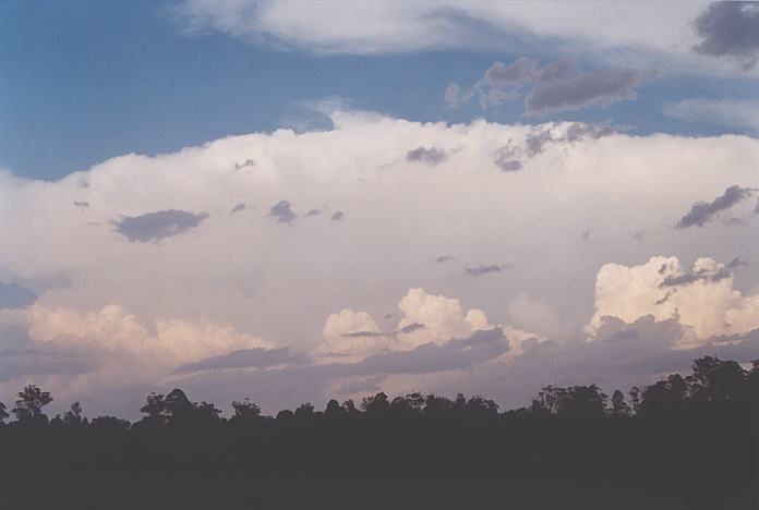 cumulonimbus supercell_thunderstorm : Warrell Creek, NSW   4 December 2001