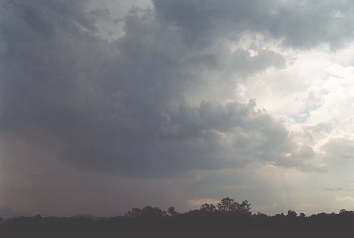 raincascade precipitation_cascade : Warrell Creek, NSW   4 December 2001