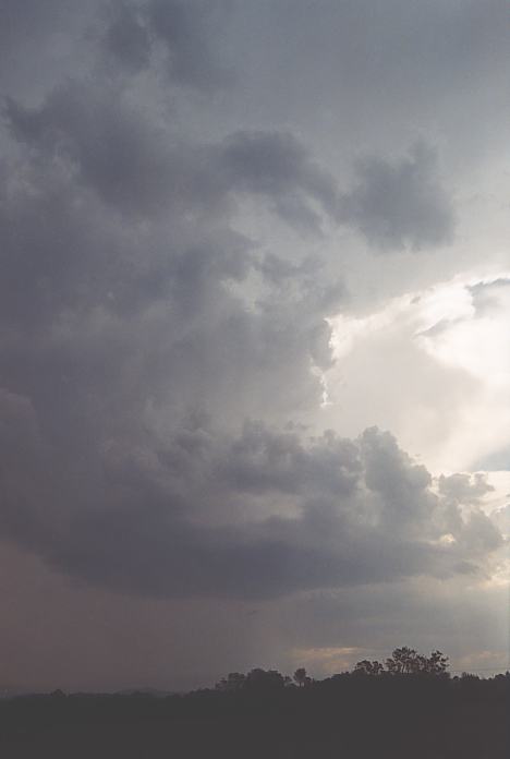 wallcloud thunderstorm_wall_cloud : Warrell Creek, NSW   4 December 2001