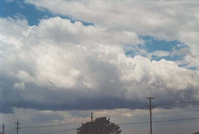 thunderstorm cumulonimbus_calvus : Schofields, NSW   7 December 2001