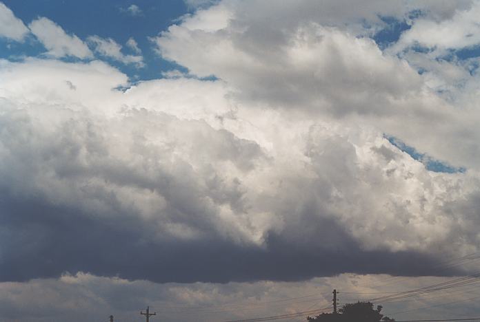 thunderstorm cumulonimbus_calvus : Schofields, NSW   7 December 2001