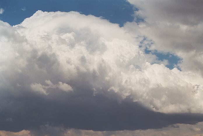 cumulonimbus thunderstorm_base : Schofields, NSW   7 December 2001